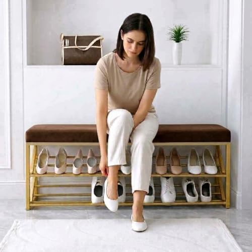 Image of Entryway Shoe Rack with Cushioned Seat, Shoe Bench for Entry, 2 Shelves Storage Bed Bench