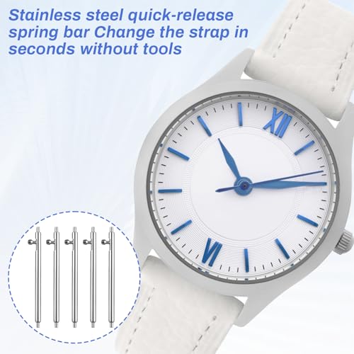 BOHUIZ 15 Stück Uhrenarmband Stifte, Uhrenstifte 22mm Quick Release Edelstahl Federstege Uhrband Federstift Schnellverschluss Federstege Watch Band Pins Kit Link Federstifte für Ersatzreparat