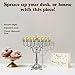 Majestic Giftware Silver-Plated Chanukah Oil Menorah (MN-HA19359BM) | Fits Standard Chanukah Oil Cups and Large Candles | Durable & Long-Lasting Quality | Hanukkah Menorah - 11” High