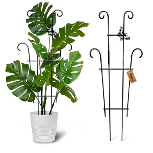 Xeeol 23in Indoor Plant Trellis for Climbing Plants