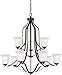 Seagull Sea Gull 3139009-782 Transitional Nine Light Chandelier from Emmons Collection Dark Finish, Heirloom Bronze
