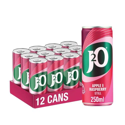 J2O Fruit Juice Apple and Raspberry 250ml Cans (Pack of 12)