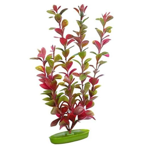 Marina Aquascaper Aquarium Plant, Water Plant, Plastic, Red Ludwigia, 30 cm, Green / Red - Image 3