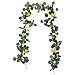 FQQWEE 76.8 Inch Artificial Lemon Greenery Garland Faux Spring Summer Eucalyptus Garland with Lemons Fake Fruit Vine Garland Wreath for Front Door Wall Table Kitchen Home Wedding Decor