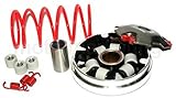 NEUE SPORT VARIOMATIK SET ____ Das Variomatik Kit enthält: Variator, Steigscheibe, Rollengewichte, Gleitbuchse, Gleitschuhe, ____ Gegendruckfeder, Kupplungsfedern. ____