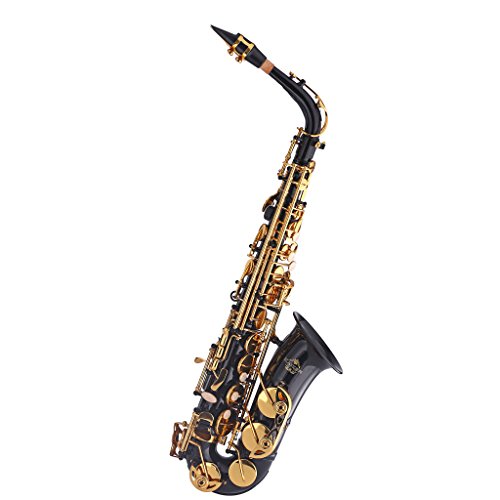 Image of Kaizer Alto Saxophone E Flat Eb Black Lacquer Body Gold Keys 1000 Series Sax Includes Case Mouthpiece and Accessories ASAX-1000BKGK