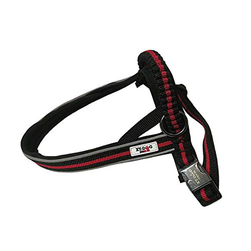 XT-Dog DA6820 Arnés Next para Perros, Talla S, 43-56 cm