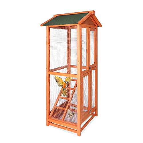 View of Outdoor Macaw Aviary: Recommendations and Material Choices