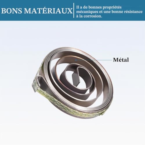QUARKZMAN 36 x 6 x 0,65 mm Plat Bobine Ressort 2pcs Bronze Tonalité – vue 2