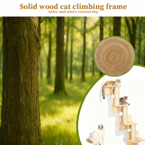 Estante mural para gatos 4 niveles en madera sólida con sisal miniatura 6