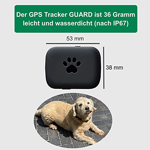 GPS Tracker für Hunde und Katzen – Fnd.U Guard GPS Tracker