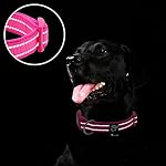 Reflective Dog Collar,Soft Neoprene Padded Pet Collar with ID Tag Ring,Adjustable for Small Dogs,Hot Pink,S - Image 4