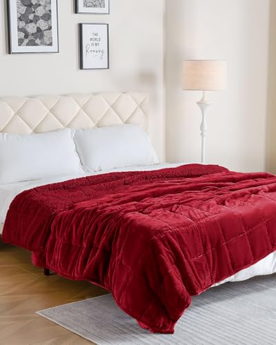 Uttermara Sherpa Fleece Weighted Blanket 15 lbs for Adult, Unicolor Ultra-Soft Fleece and Sherpa, Dual Sided Cozy Plush Blanket for Sofa Bed, 60 x 80 inches, Red