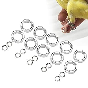 Cikonielf 10Pcs Vogelvoet Ringen Metalen Papegaai Been Ring Outdoor Fly Training Activiteit Opening Clip Accessoires…