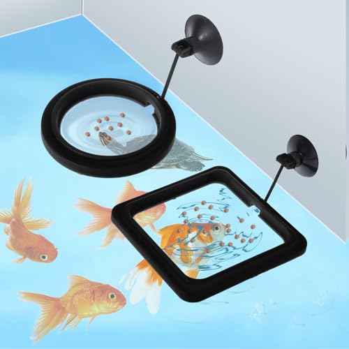 2 PCS Futterring Aquarium, Schwarzer Aquarium Futterring Fisch Fütterung Ringe Fisch Aquariums Fütterer Schwimmend Futter Fütterung Kreis Mit Saugnapf Verhindern, DASS Wasser Turbulenzen Lebensmittel