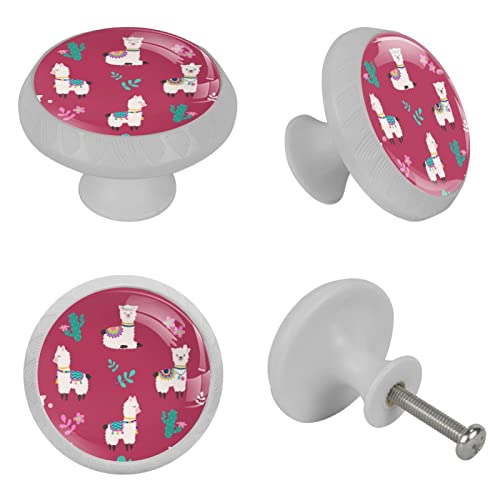 Poignées de tiroir de commode rondes fluorescentes lot de 4 - 5