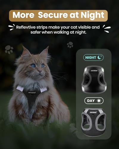 Image of FAYOGOO Cat Harness and Leash Set | Upgrade Step-in Escape Proof Harness | Lightweight Soft Vest, No-Choke Design for Walking, Travel, Camping (Black)
