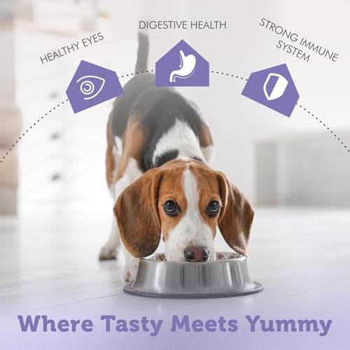 Nature's Protection Hundenassfutter mit Huhn & Lamm - Getreidefreies Hundefutter mit Omega-3 & Taurin - Für Erwachsene Hunde - Starke Muskeln & gesundes Fell (22 x 100g)