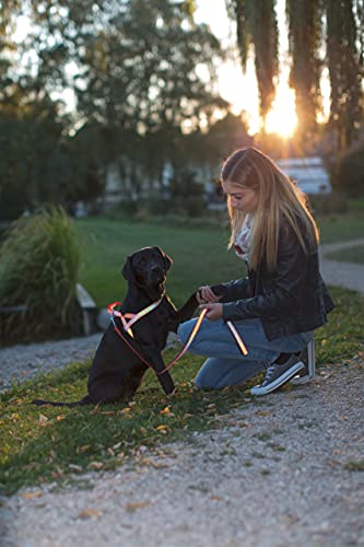 Kerbl Pet 81059 Norweger Geschirr reflektierend 20mmx65-85cm, 0.108 kg
