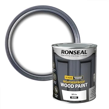 Ronseal 10 Year Weatherproof 2-in-1 Wood Paint White Gloss 750ml