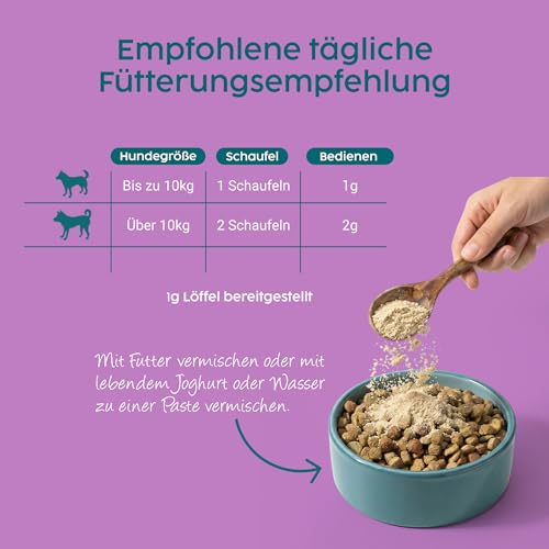 Zanipro Beruhigung für Hunde – Probiotika Hund mit L-Tryptophan, Anti-Stress Hund Pulver bei Angst bei Hunden, Silvester Hund Beruhigung & Autofahrt, entspannende Unterstützung – Rindgeschmack, 100 g