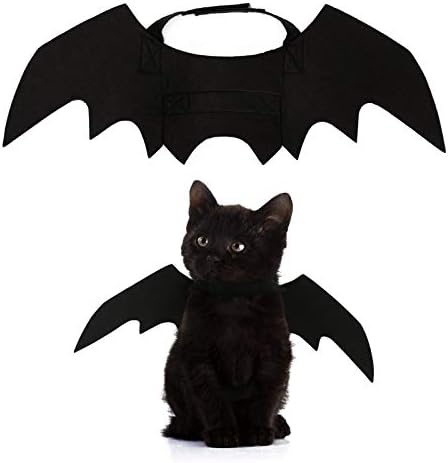 kitten bat costume