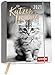 Produktbild Für Katzenfreunde 2021: Wochenkalender mit 12 Postkarten (Terminplaner für die Handtasche)