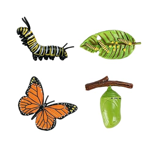 Butterfly Life Cycle 4pc Figurine Model Kit – Egg, Caterpillar, Chrysalis, Butterfly
