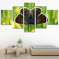 SIGNWIN 5 Panel Canvas Wall Art Open Wings for Home Decorations Ready to Hang - 60