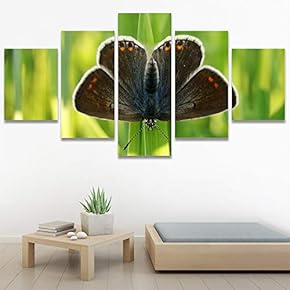 SIGNWIN 5 Panel Canvas Wall Art Open Wings...