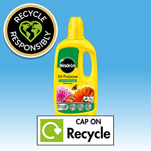 Miracle Gro All Purpose Concentrated Liquid Plant Food, 800ml - Image 7