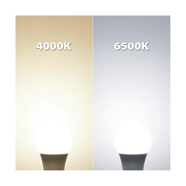 LVWIT LED E27 Birne 60W Kaltweiß 6500K, ultrahell 806 lm, matte LED Lampe (6er Pack) – Bild 3