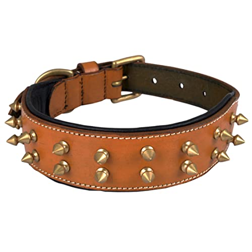 DowgClub, Brown - Gold Spikes, M (Fit Neck Size 14.5"-18.5") - Image 2