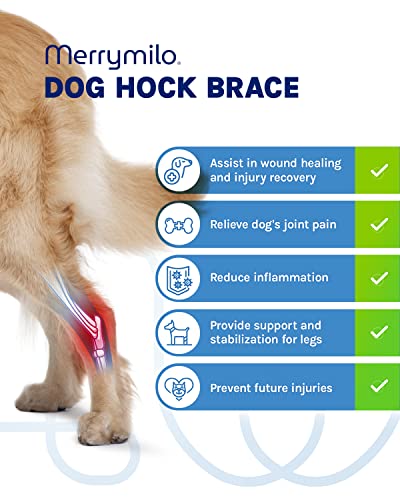 Image of Dog Leg Brace, 1 Pair Rear Hock & Ankle, Canine Hind Leg Joint Compression Wrap for Torn ACL & CCL, Injury and Sprain Protection, Wound Care and Loss of Stability, Size: M(2 Pack)