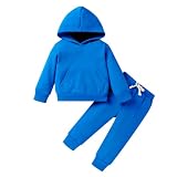 YOUNGER TREE Baby Clothes for Girls Boy Solid Color Hoodie and Sweatpants Outfit Toddler Sweatsuit (Royal blue, 2-3 T)