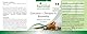 Fairvital | Curcuma, Ingwer und Boswellia mit Vitamin C - 90 Kapseln - vegan - mit schwarzem Pfeffer-Extrakt