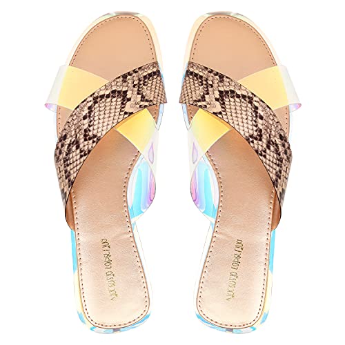 Buy Vincenzio Robertina VR Irene Flats for Women (Champagne) at Amazon.in
