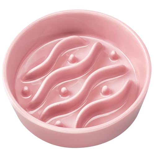 Ceramic Slow Feeder Dog Bowls for Small Dogs, 0.6 Cup