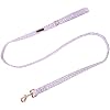 Lionet Paws Spring Daisy Dog Leash Matching Dogs Collar for Small Medium Dog