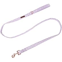 Lionet Paws Spring Daisy Dog Leash Matching Dogs Collar for Small Medium Dog