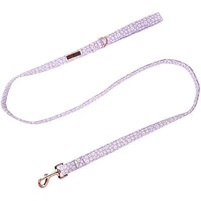 Lionet Paws Spring Daisy Dog Leash Matching Dogs Collar for Small Medium Dog