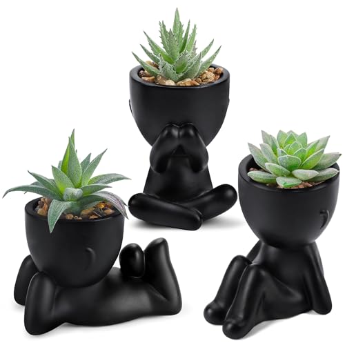 Der Rose 3pcs Fake Succulents Plants Artificial for Black Bathroom...