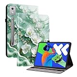 Xishuicl