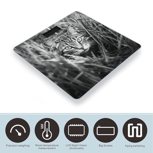 Báscula digital de baño con pantalla LCD y vidrio templado miniatura 3