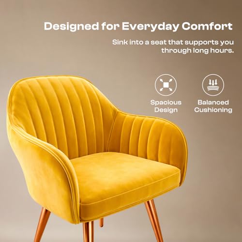 Image of Vergo Plush Velvet Dining Chair, Cushion Seat, Wooden Frame, Metal Legs, Premium Accent Chair for Living Room, Bedroom, Dining Room, Cafe & Restaurant (Set of 2, Yellow)