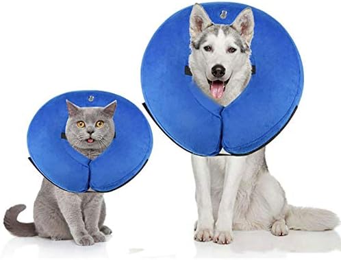 Ranphy Aufblasbares Halsband Für Hunde/Katzen – Verstellbar, Weich, Schützt Nach Operationen, Größe L (32–45 Cm)