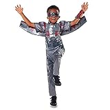 Halloween Costume Avengers ~ Falcon Costume for Kids - Captain America: Civil War ~ Size 3 Silver