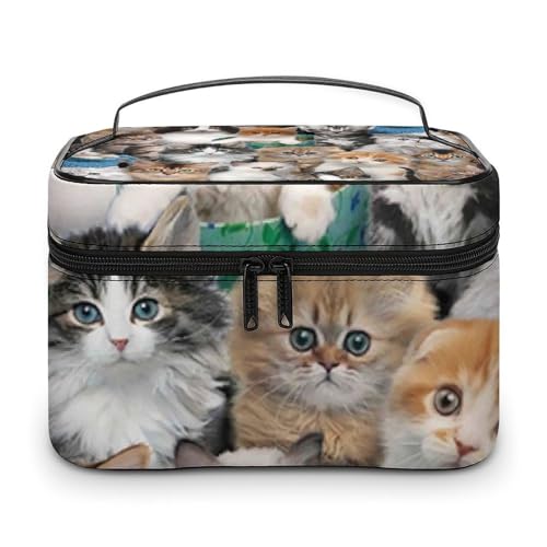 CN{bNX RX[ e L̕ipbNꂽL σ|[` ϕi CN[P[X y ^ ANZT[   s op v[g