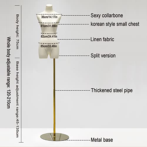 Female Mannequin Dress Form, Adjustable Height Model Body Display Torso With Metal Square Base Stand, Multipurpose Body Manikin For Dress Jewelry Sewing Clothing ( Color : Gold , Size : C ) #TOP5