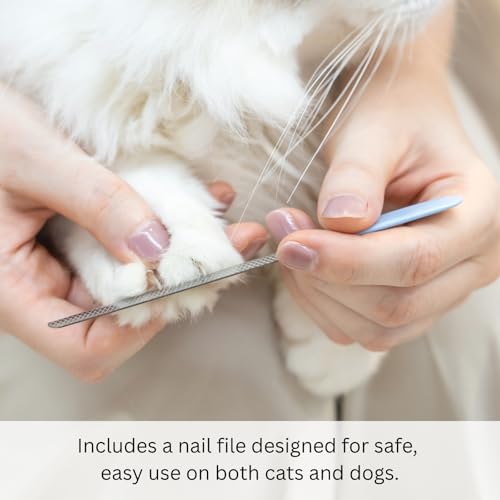 Image of AIXINPET Dog & Cat Nail Clippers and Trimmers - with Free Nail File, Protective Guard to Avoid Over Cutting, Extra Sharp Blade - Suitable for Small to Large Dogs, Puppies, Birds and Rabbits (Large)